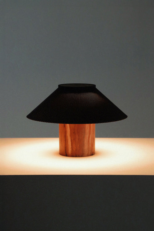 The Dappled Lamp - Zebrawood