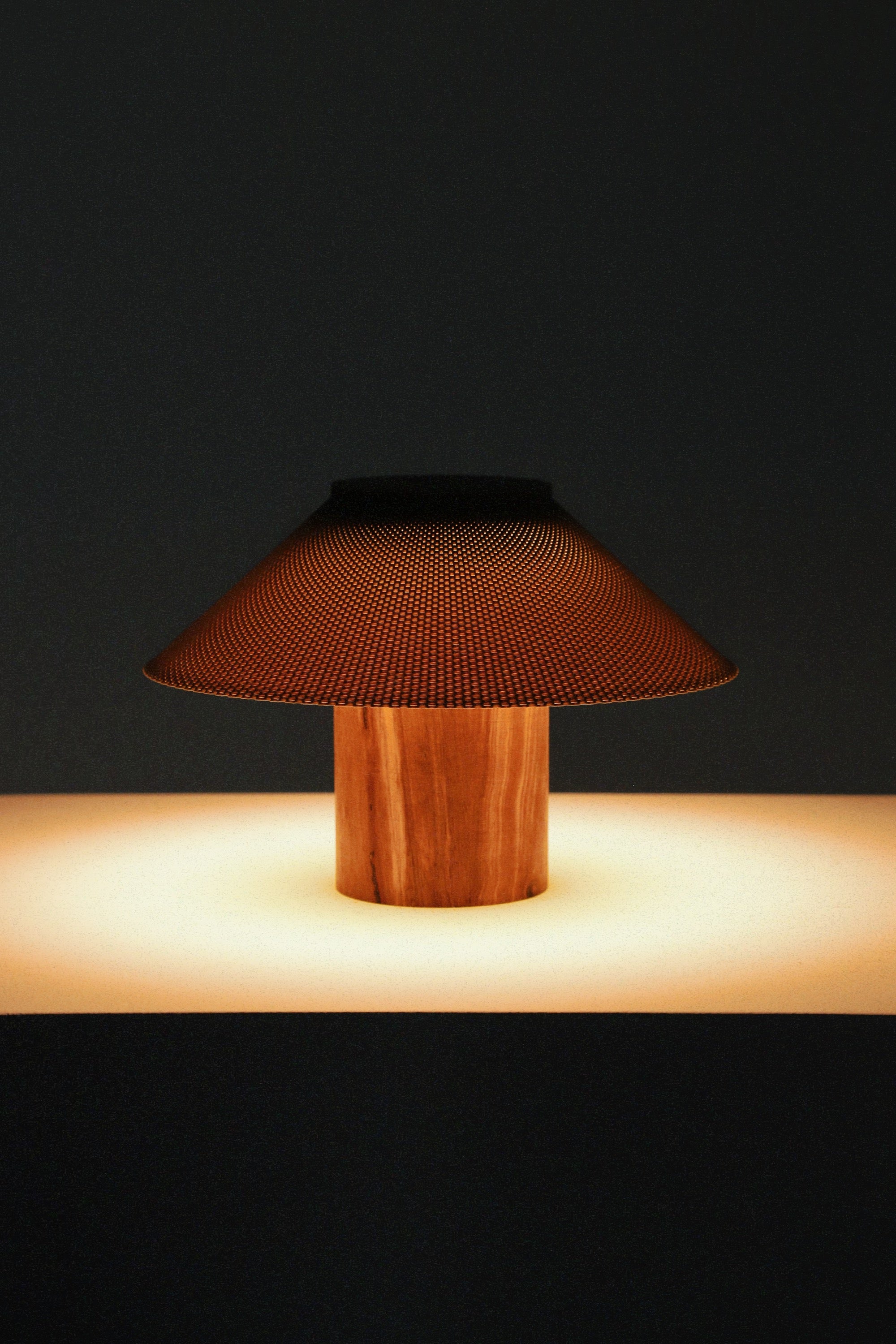The Dappled Lamp - Zebrawood