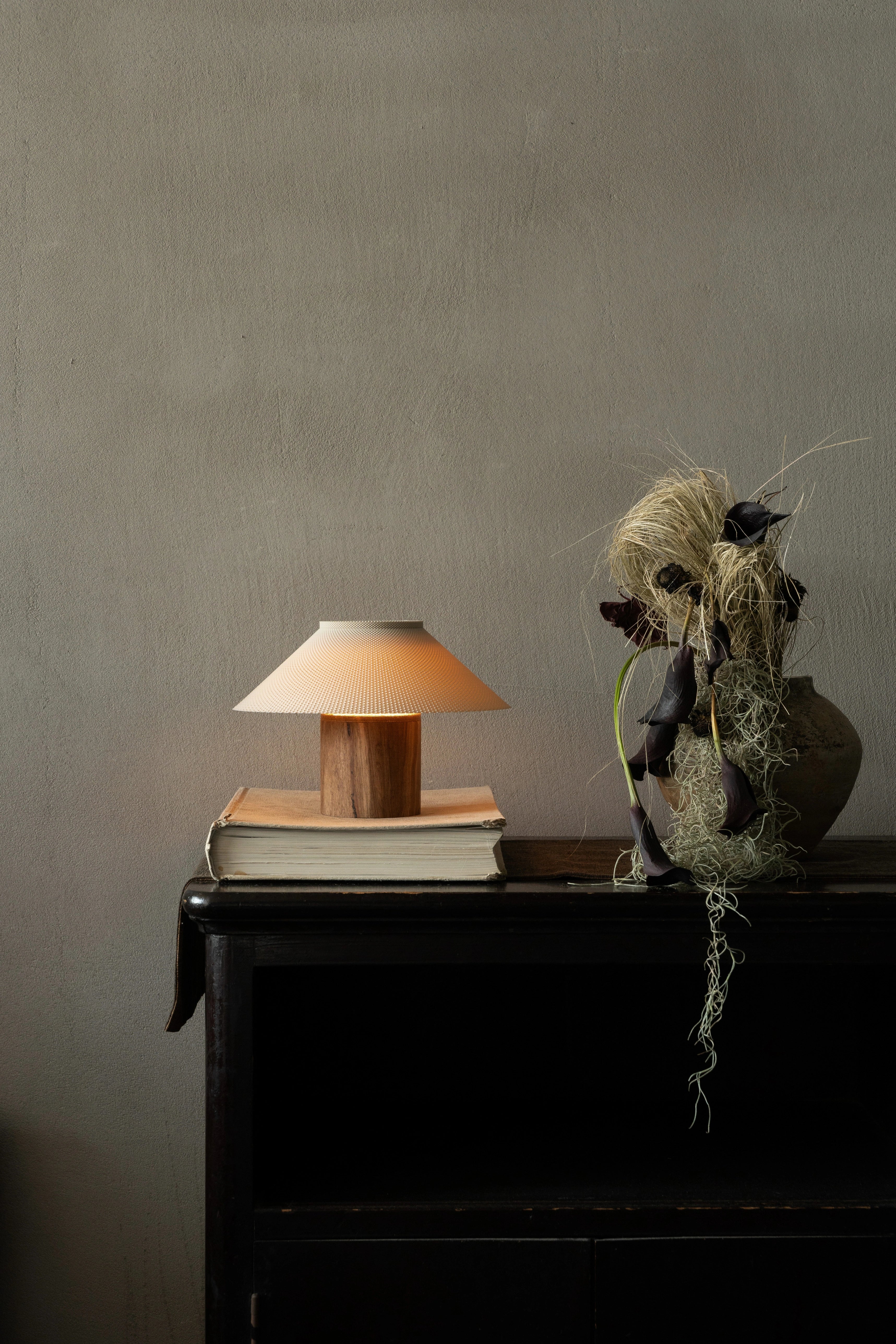 The Dappled Lamp