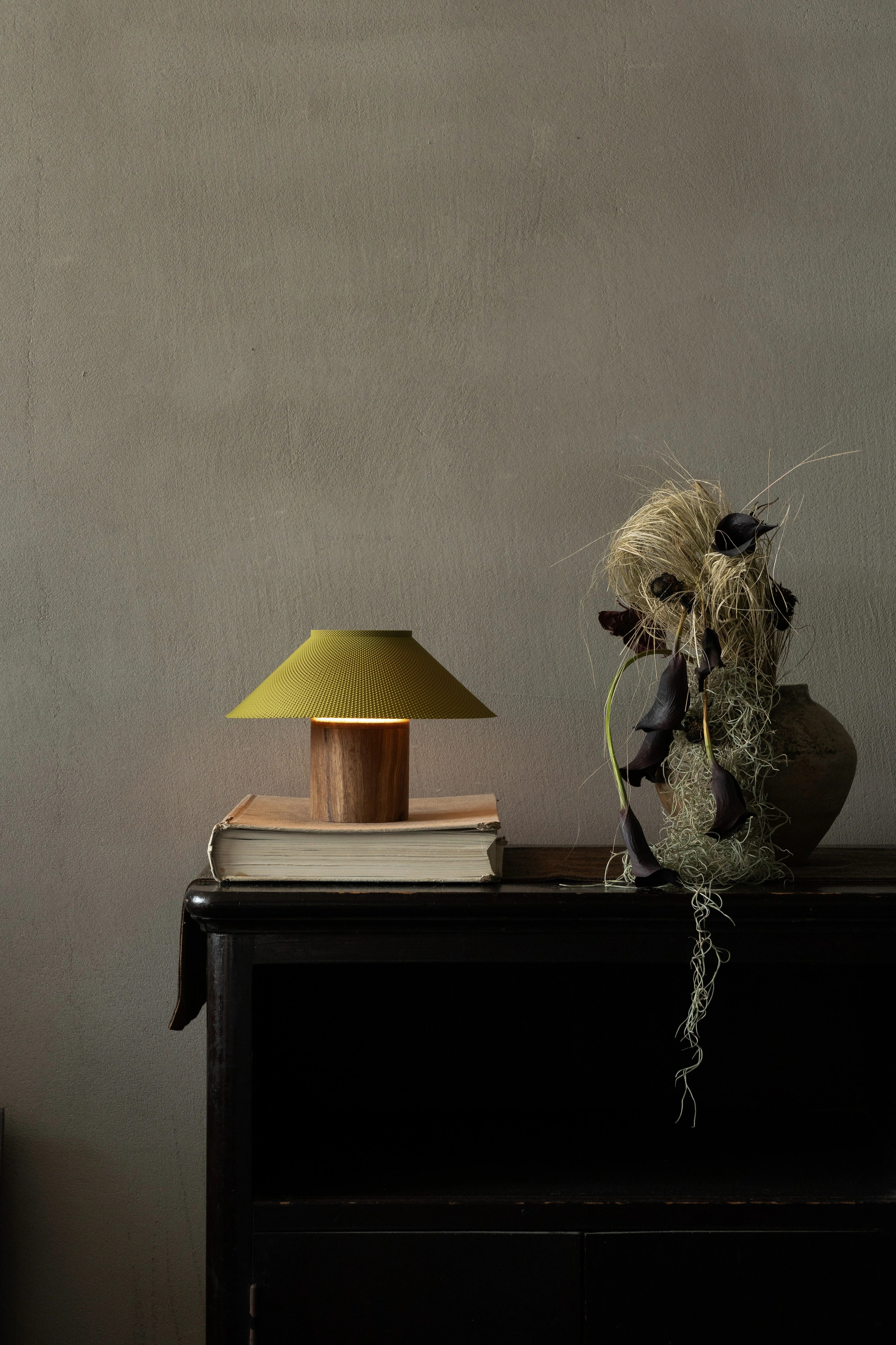 The Dappled Lamp