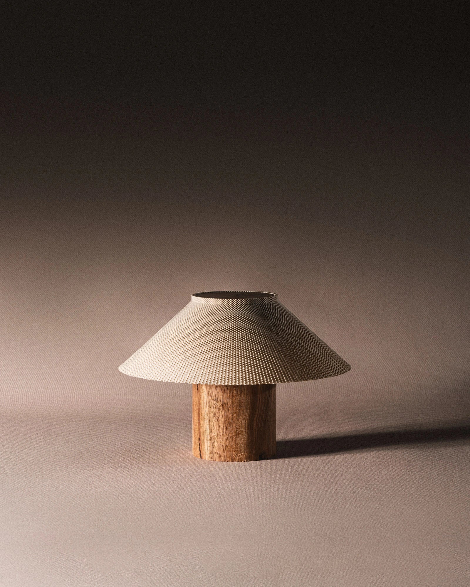 The Dappled Lamp