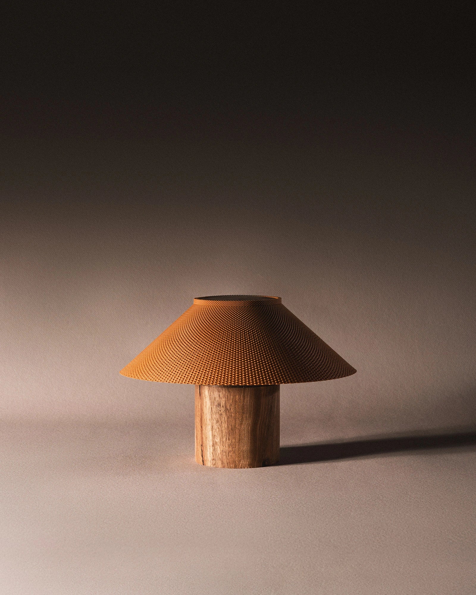 The Dappled Lamp
