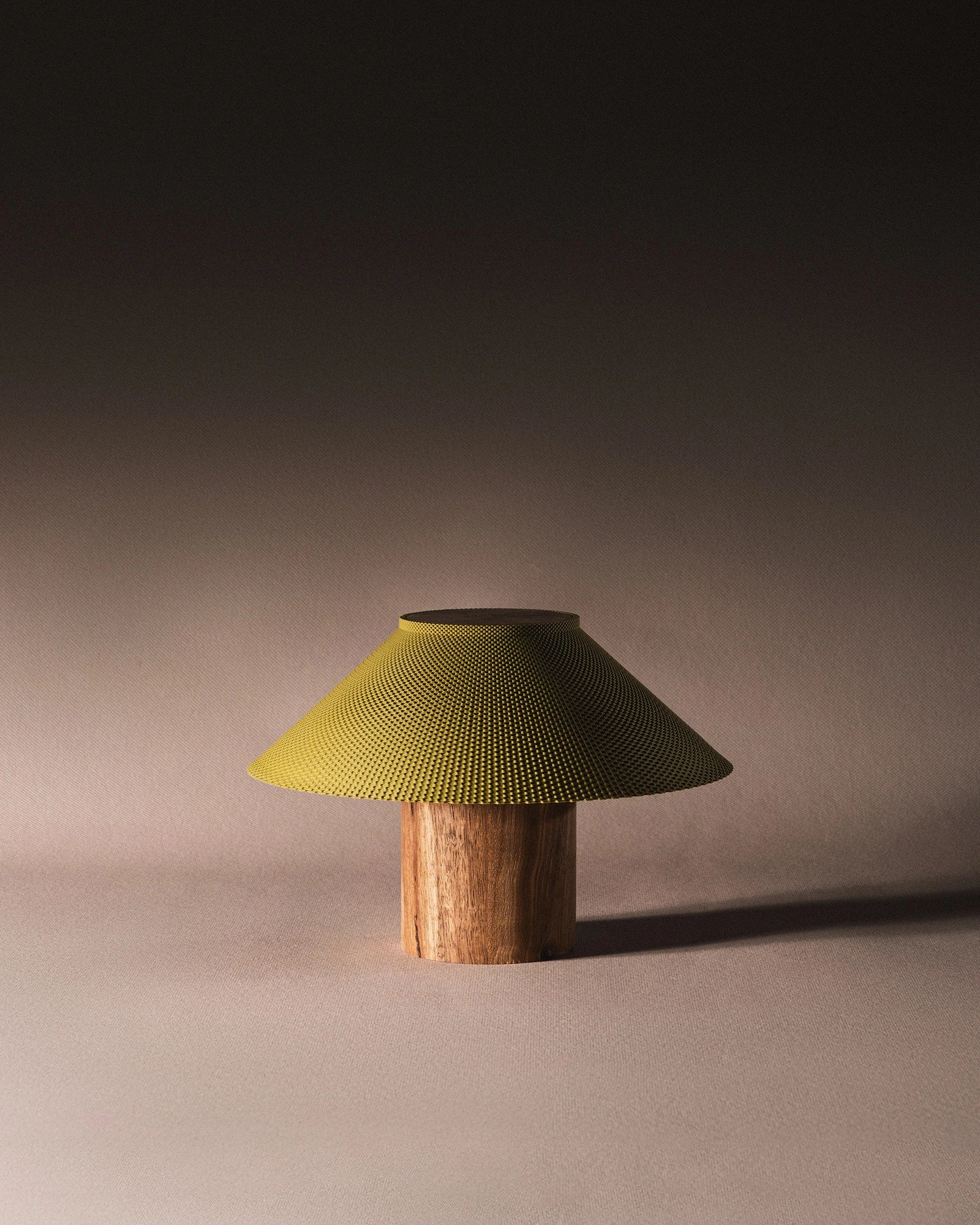 The Dappled Lamp