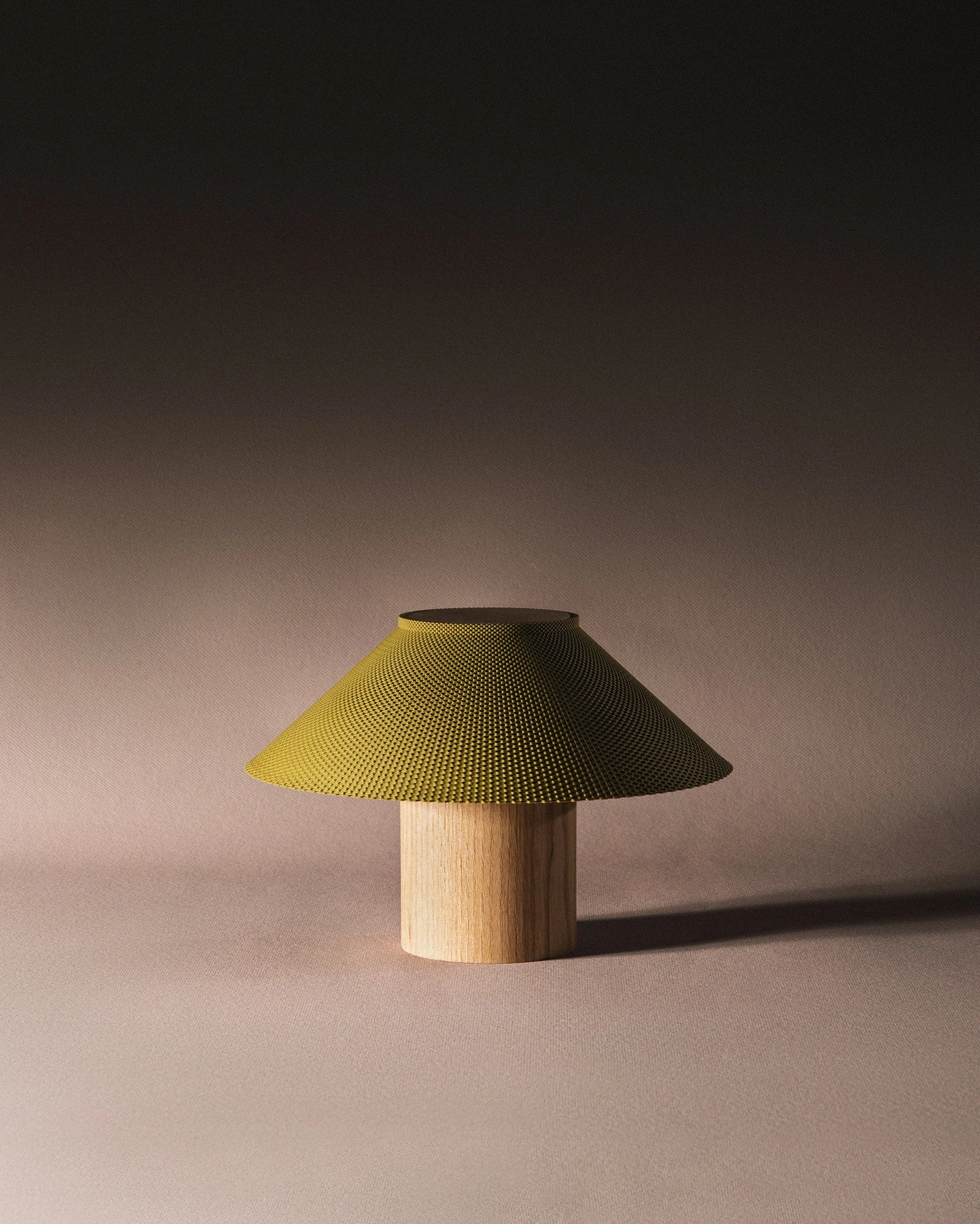 The Dappled Lamp