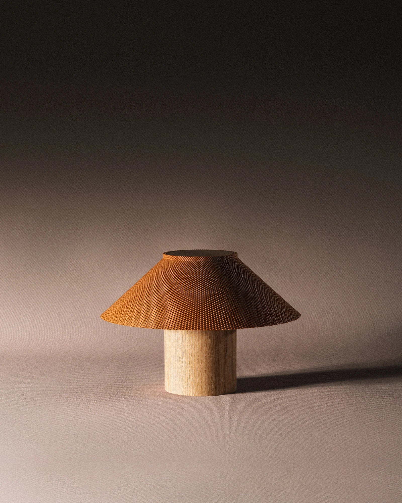 The Dappled Lamp