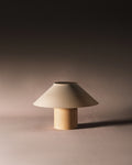 The Dappled Lamp