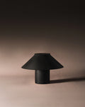 The Dappled Lamp