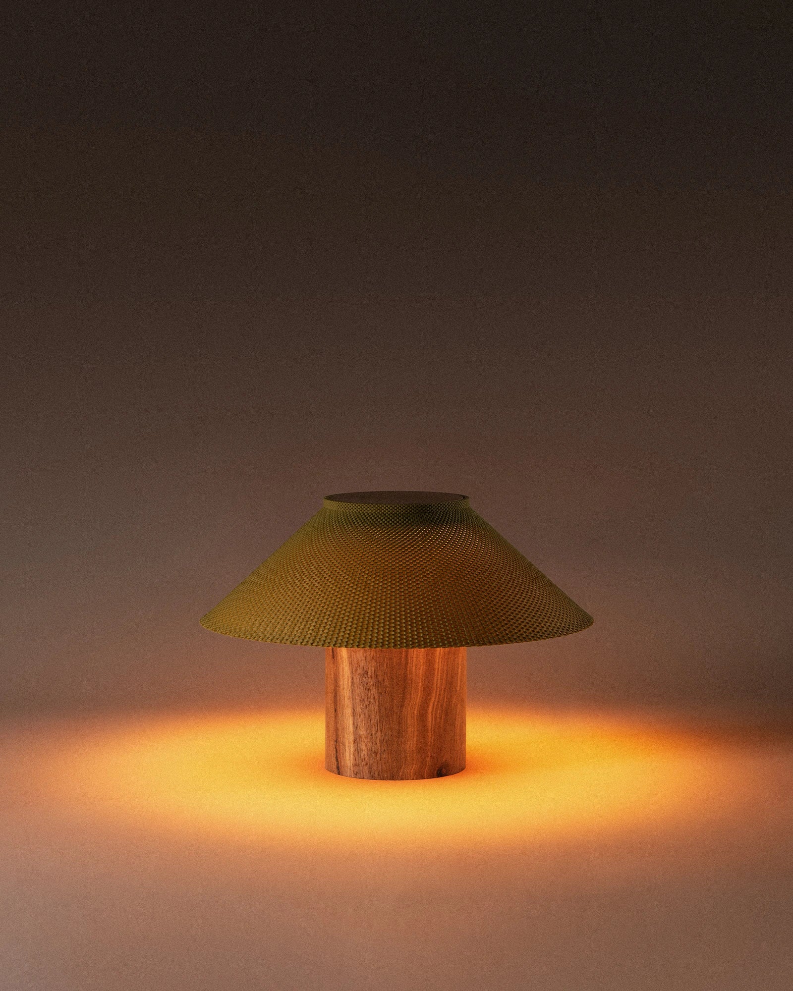 The Dappled Lamp