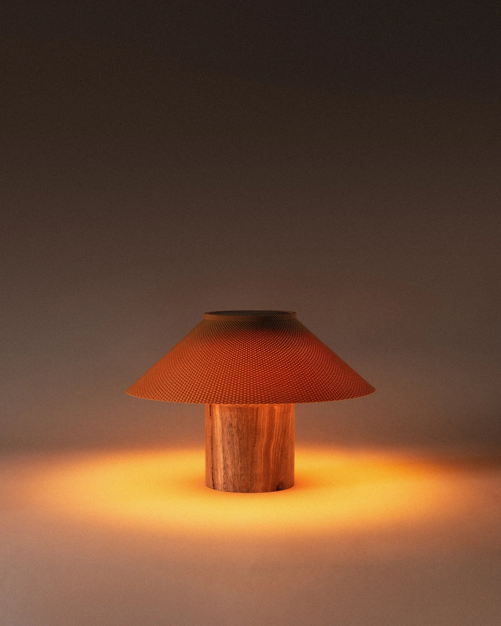 The Dappled Lamp