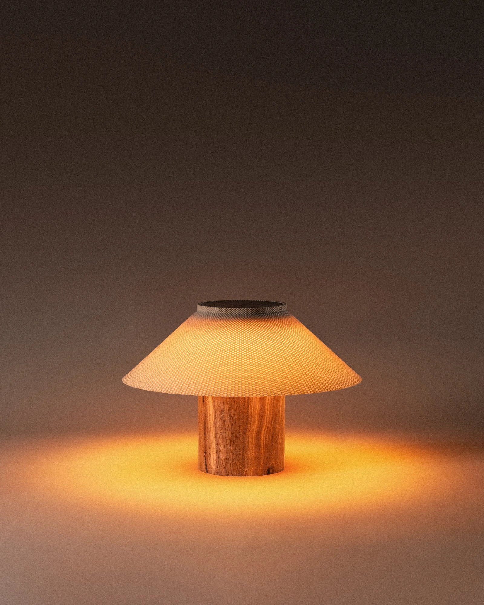 The Dappled Lamp