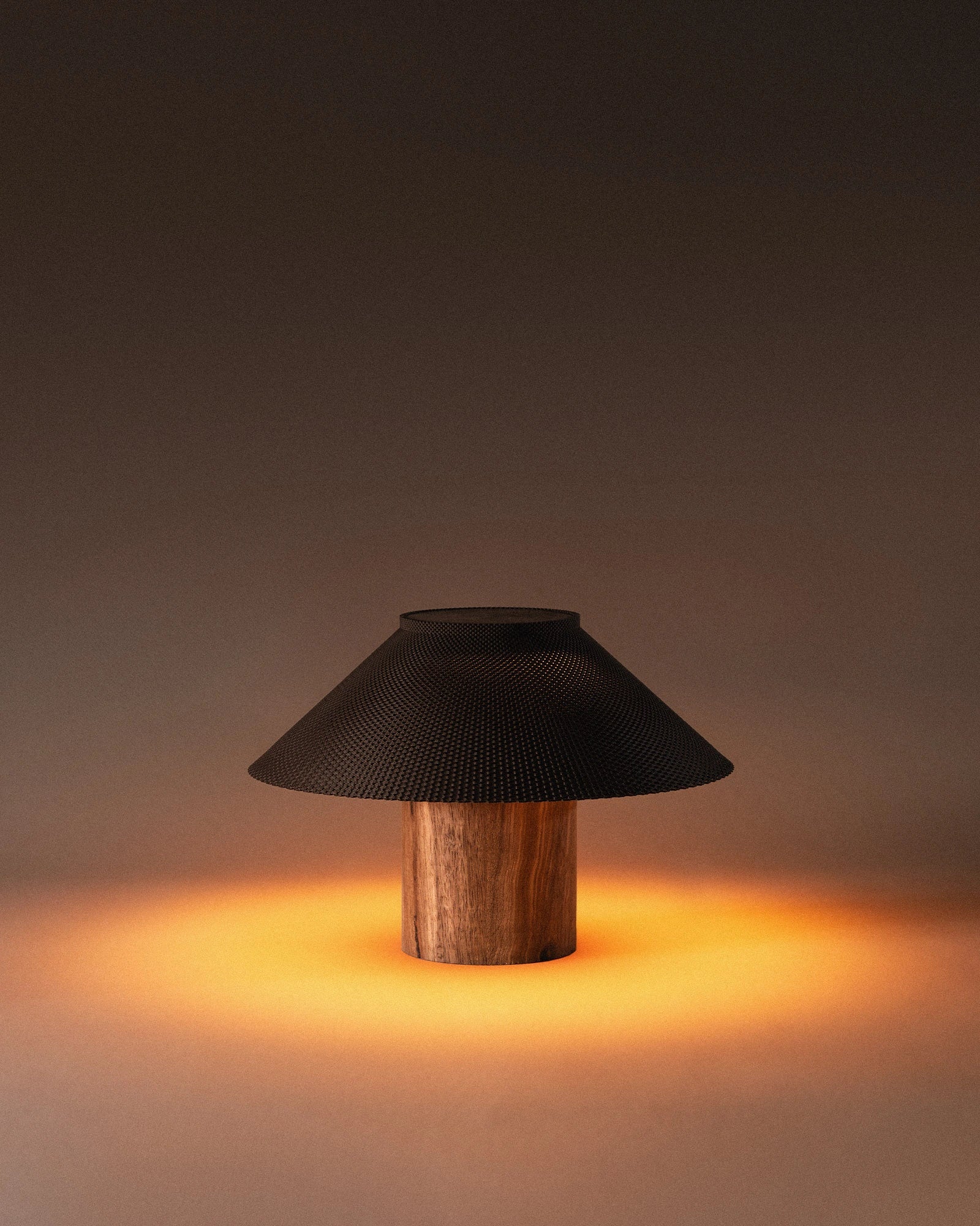 The Dappled Lamp