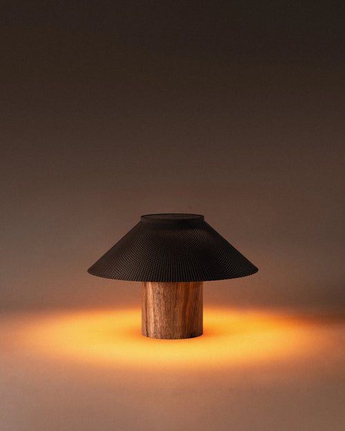 The Dappled Lamp