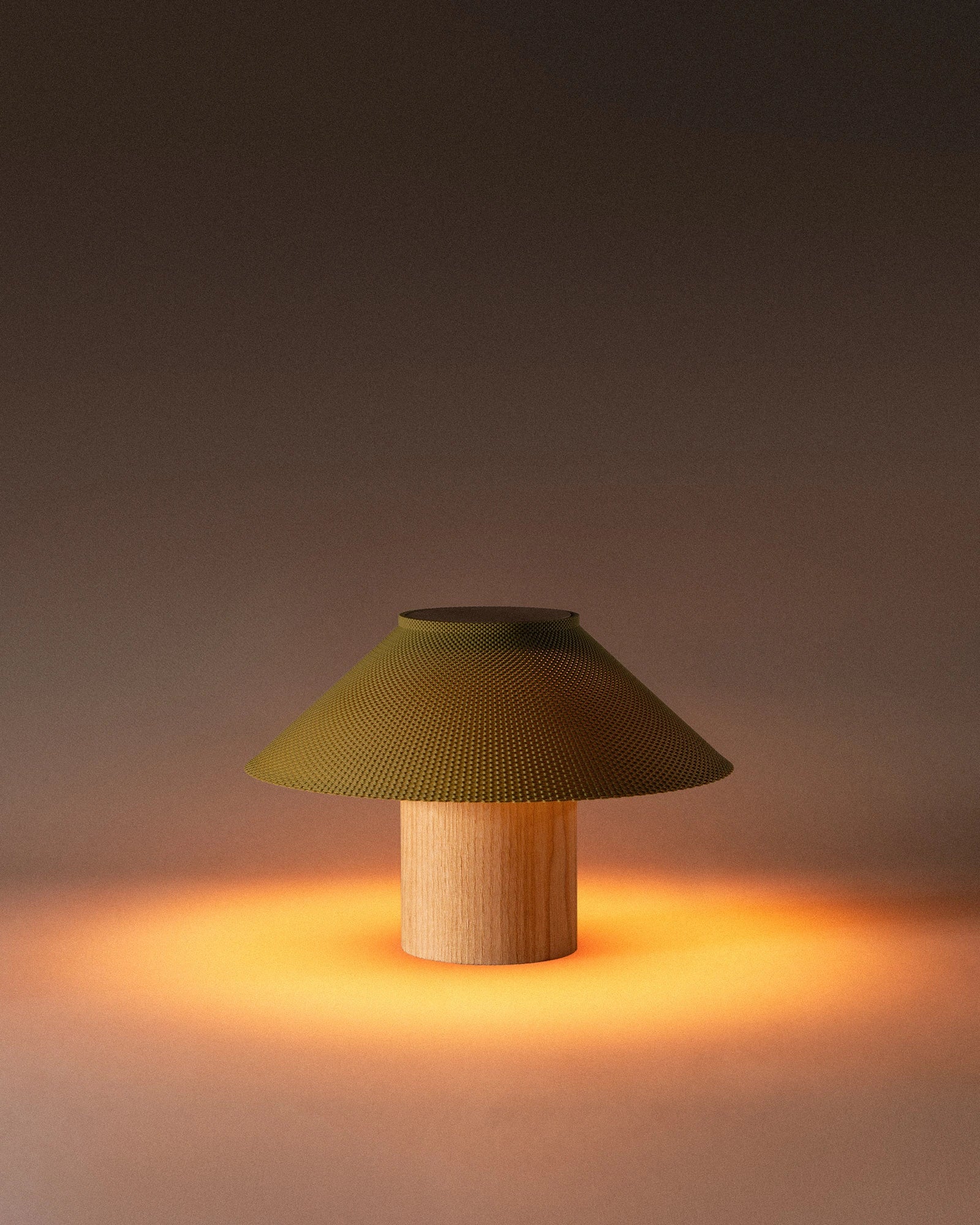 The Dappled Lamp