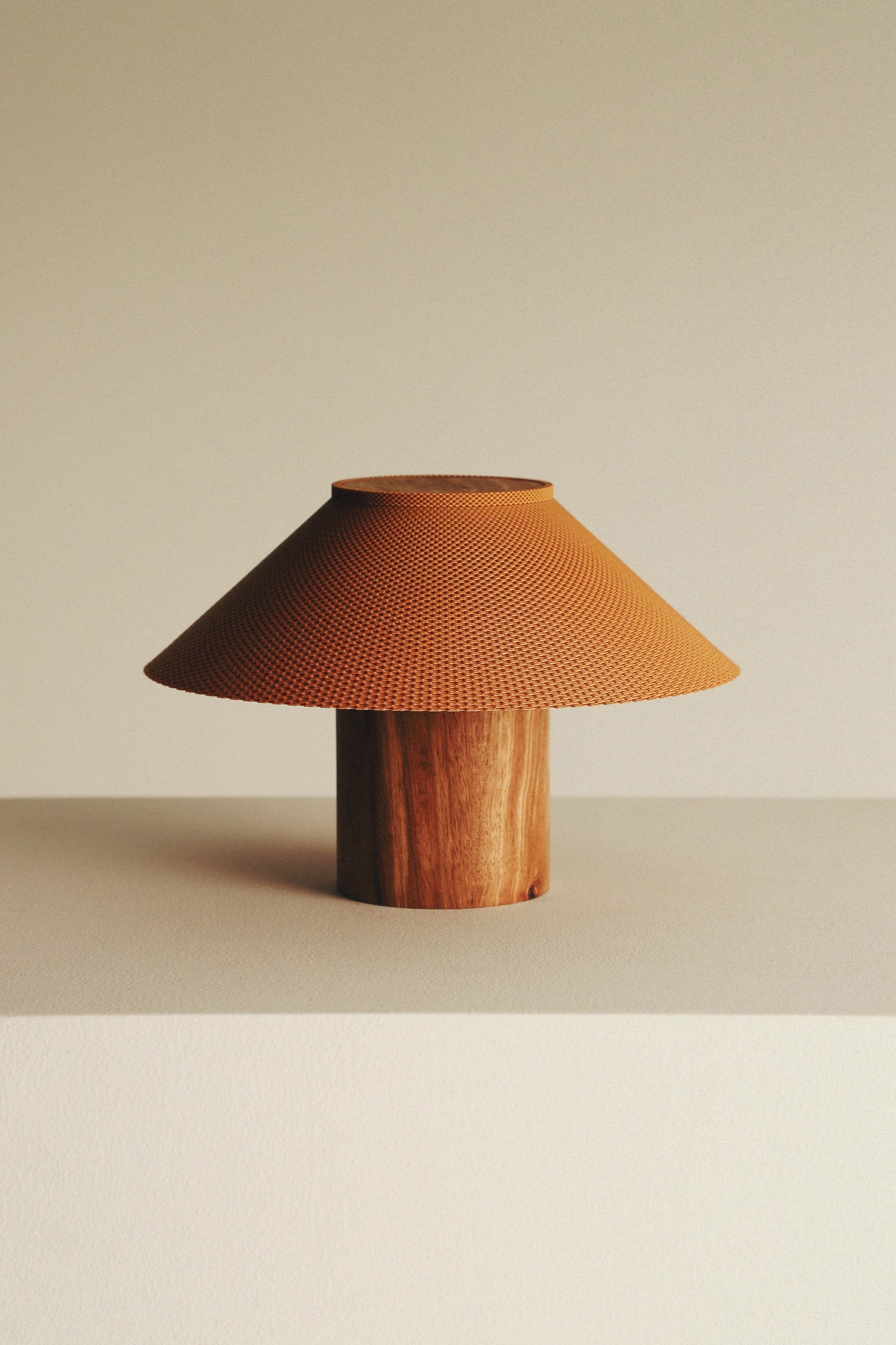 The Dappled Lamp - Zebrawood