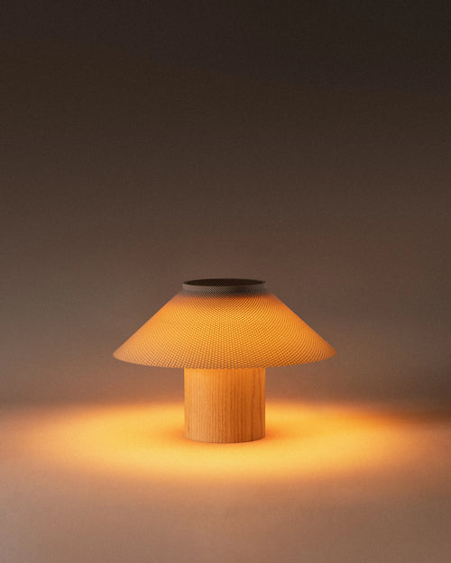 The Dappled Lamp