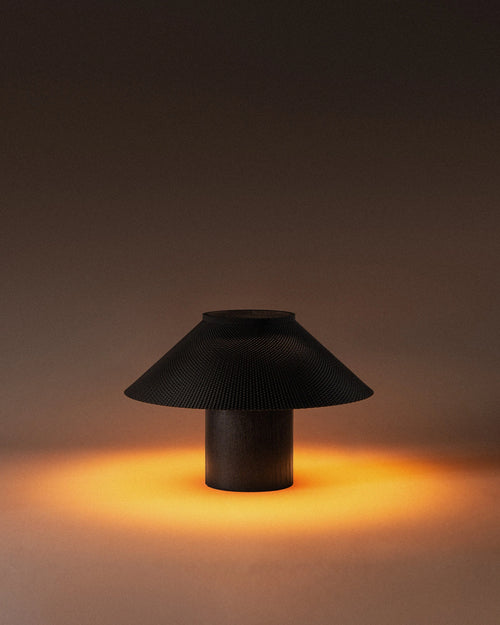 The Dappled Lamp
