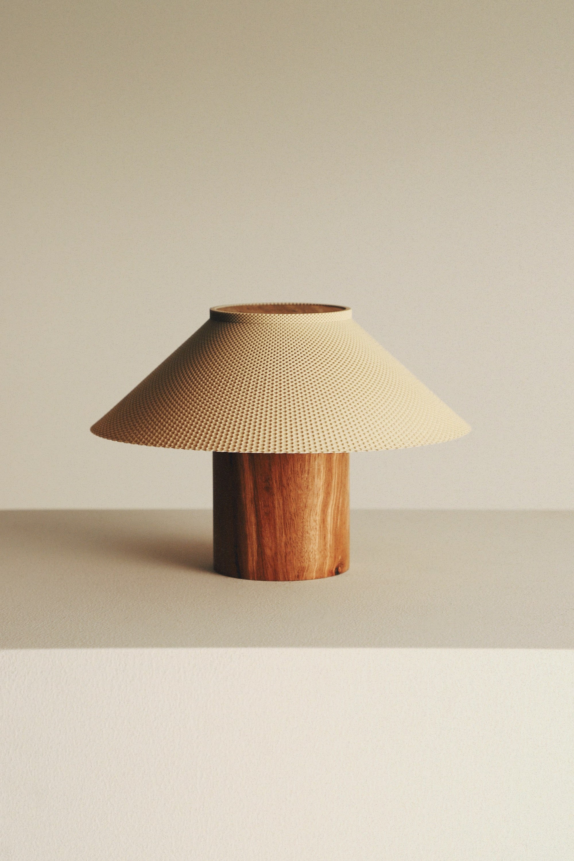 The Dappled Lamp - Zebrawood