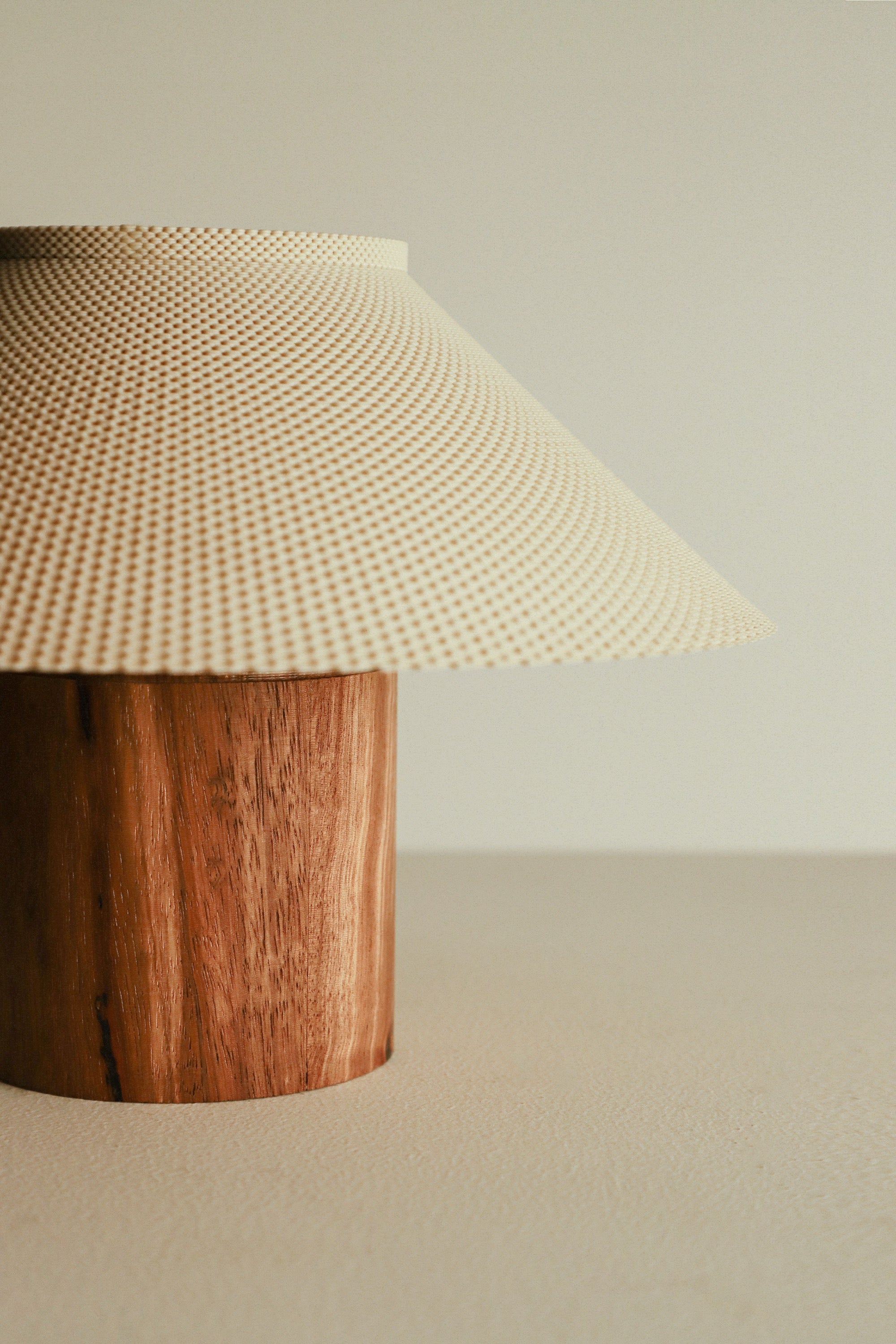 The Dappled Lamp - Zebrawood