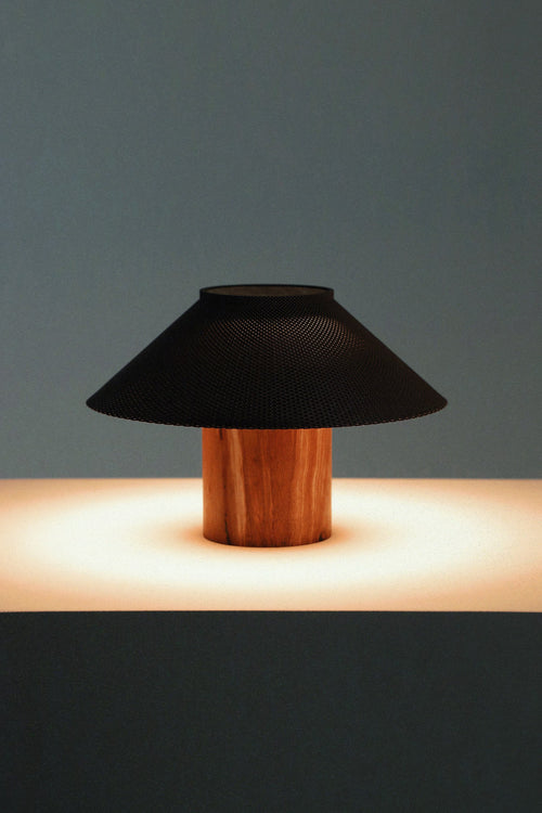 The Dappled Lamp - Zebrawood