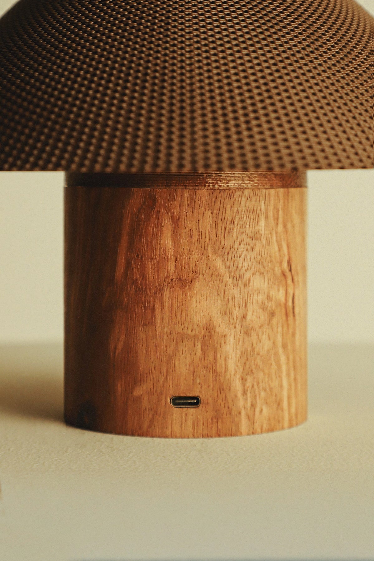 The Dappled Lamp - Zebrawood