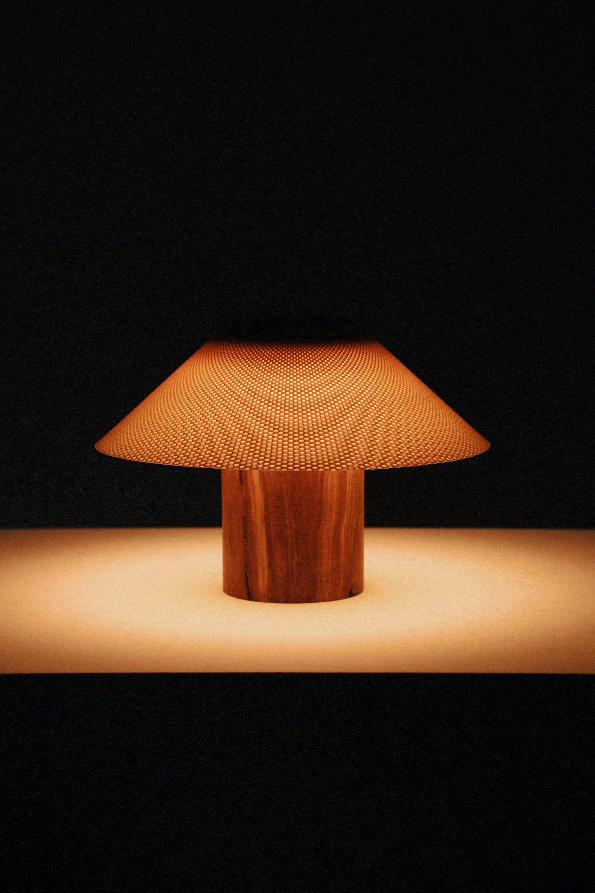 The Dappled Lamp - Zebrawood