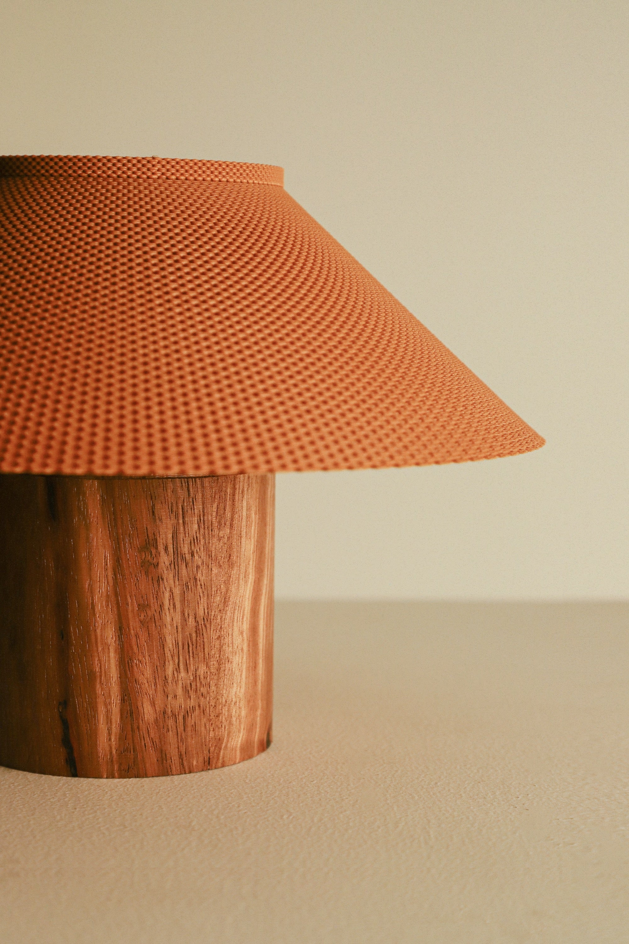 The Dappled Lamp - Zebrawood