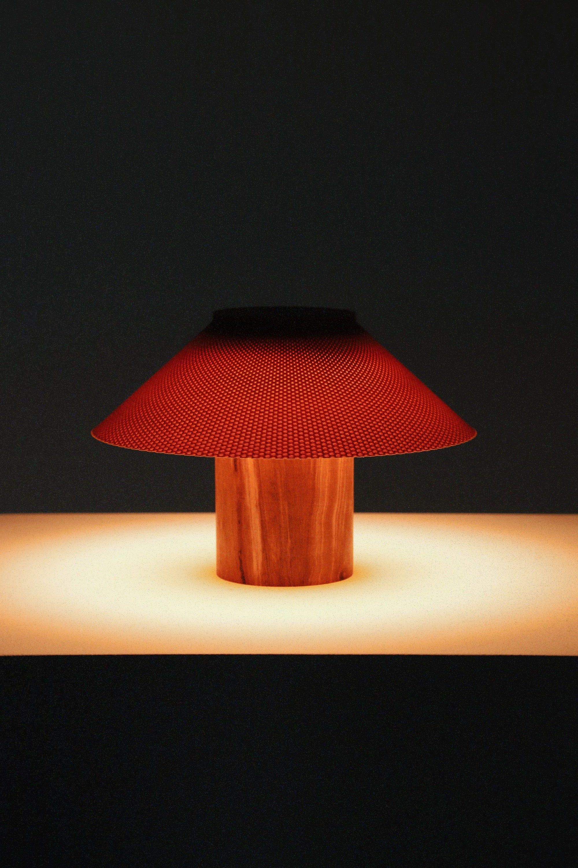 The Dappled Lamp - Zebrawood