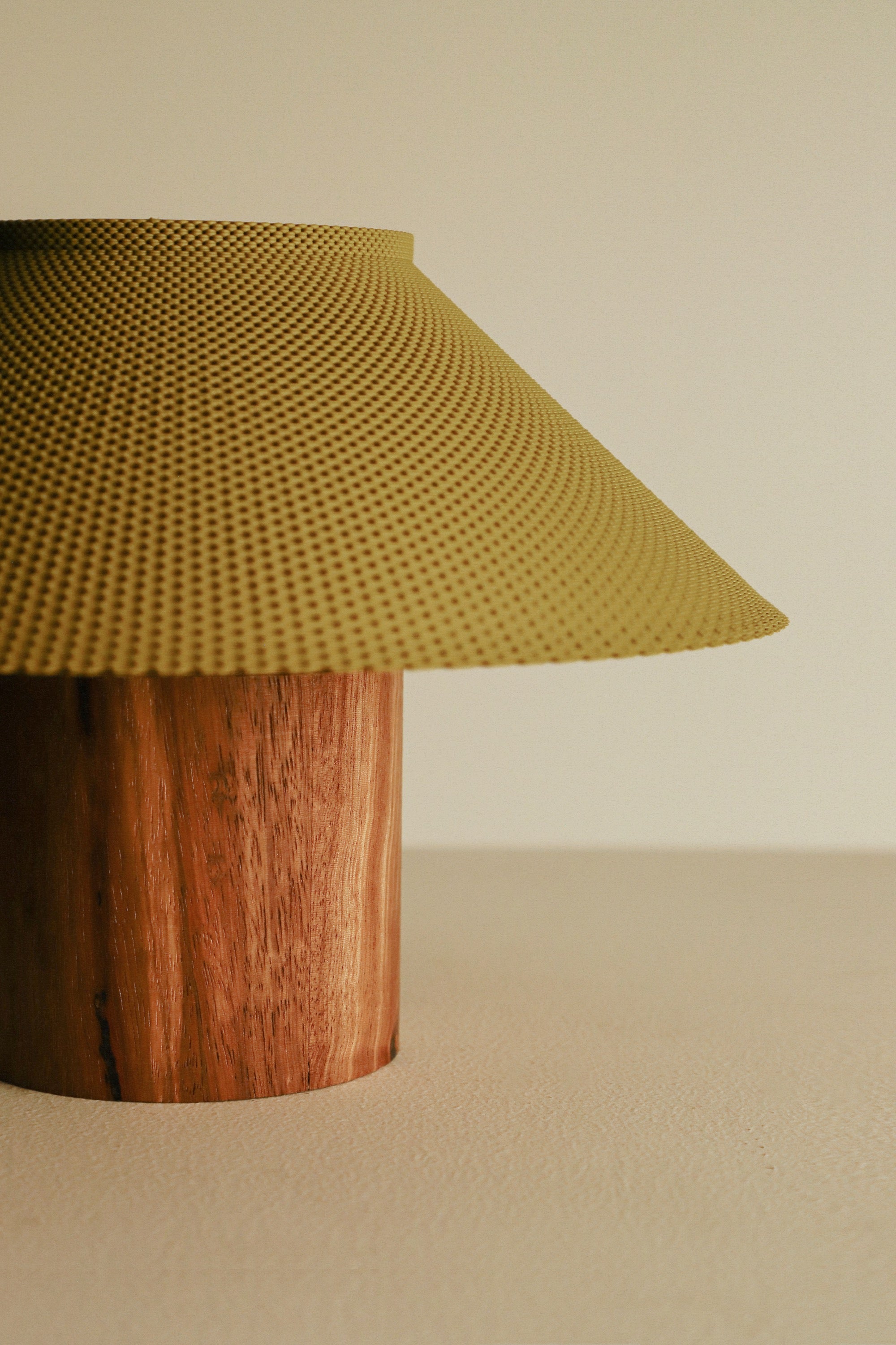 The Dappled Lamp - Zebrawood